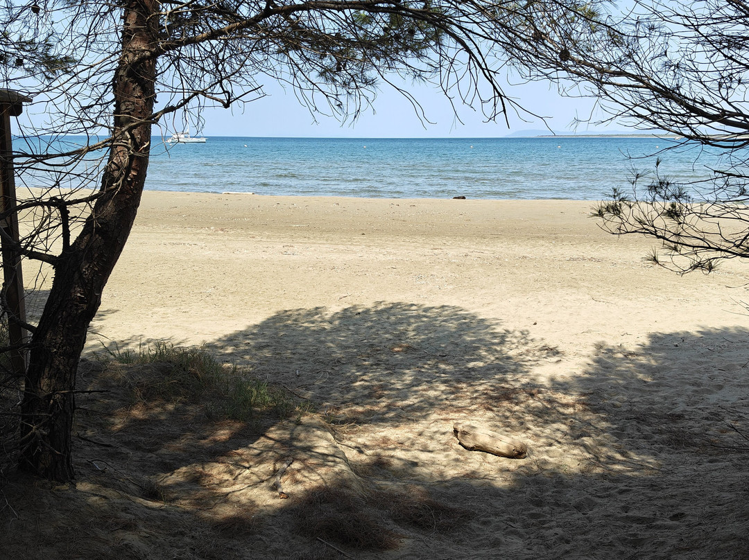 Parco Naturale della Maremma-Alberese必去景点