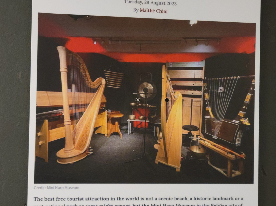 Luc Vanlaere Harpist - Harp Museum-布鲁日必去景点