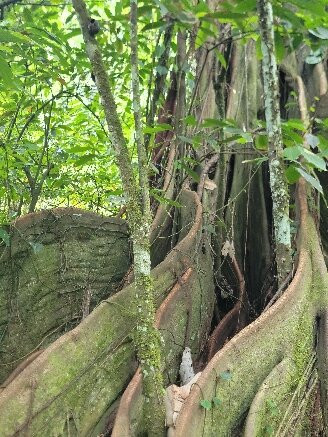 Parc De La Source-Bouillante必去景点