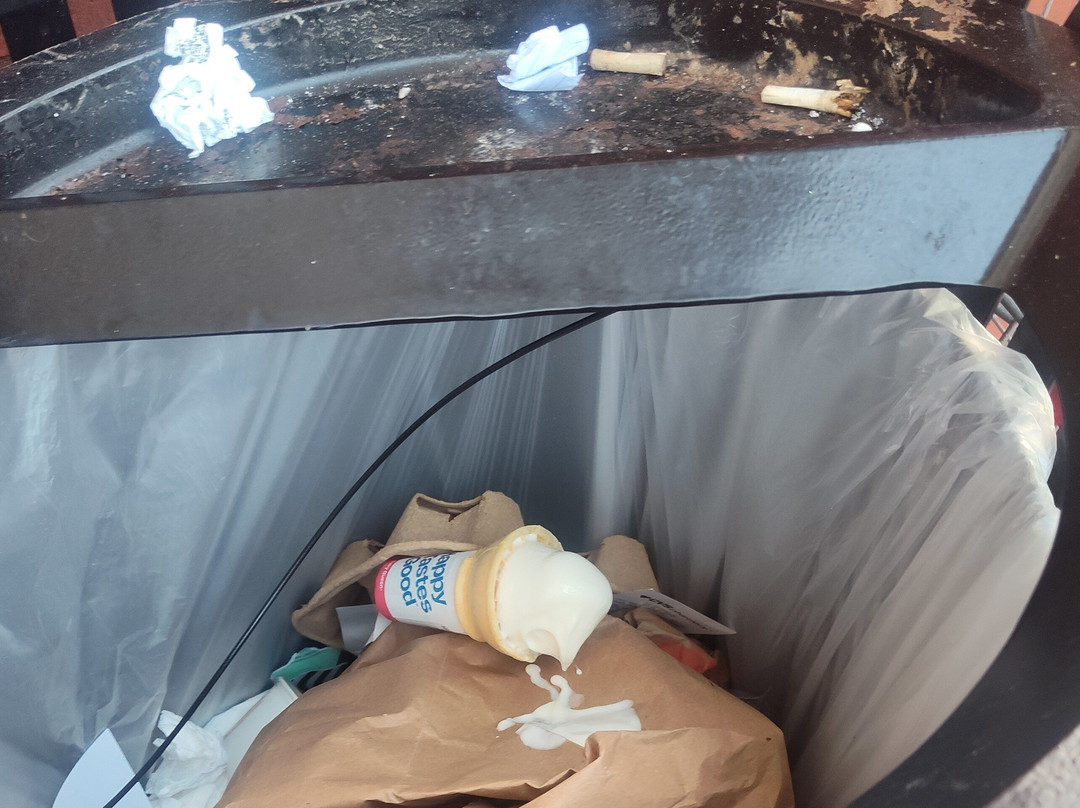 Dairy Queen (Treat)