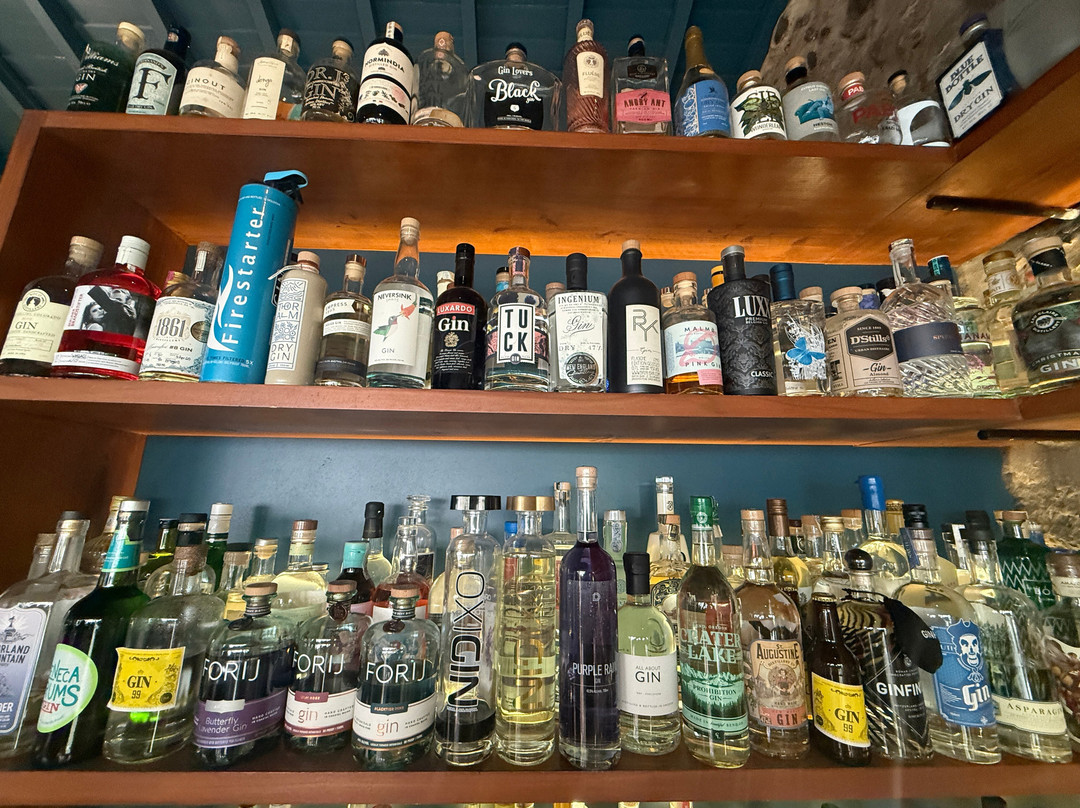 The Gin Library-蓬塔德尔加达必去景点