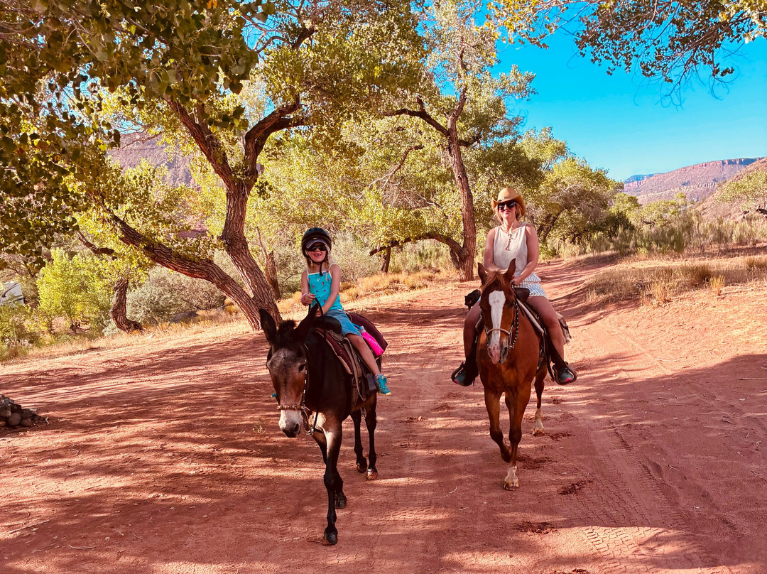 Shelleys Custom Horse Tours-Virgin必去景点