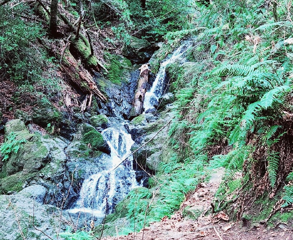 Cataract Falls-Fairfax必去景点