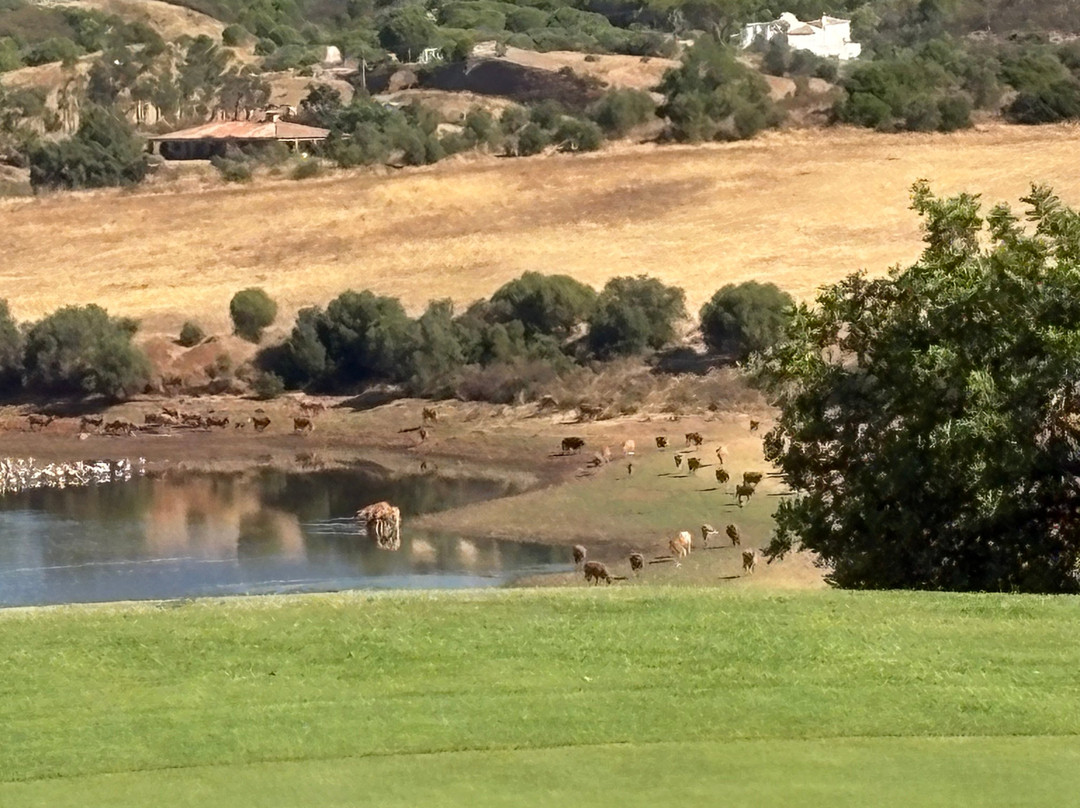 Álamos Golf Course-波尔蒂芒必去景点
