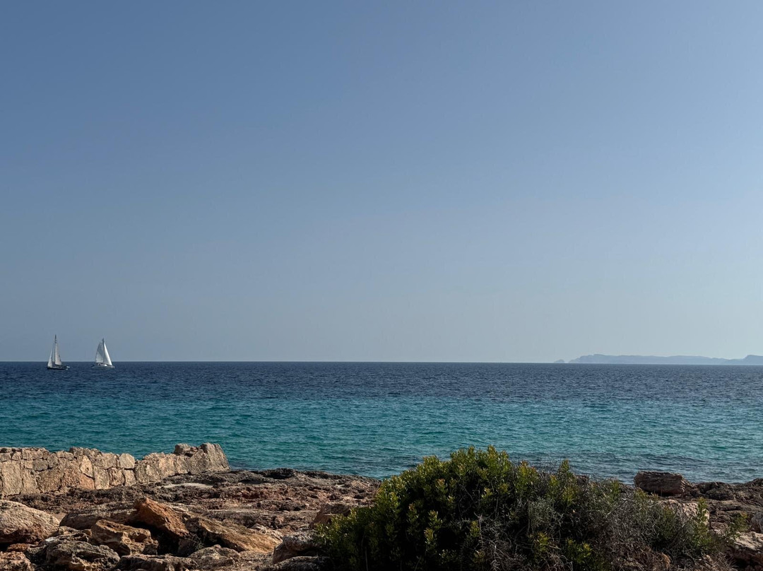 Far De Ses Salines-Ses Salines必去景点