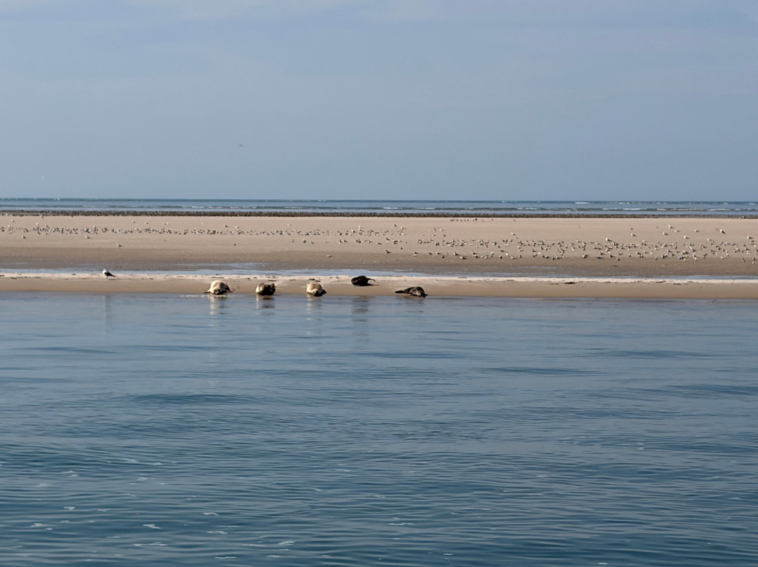 Expeditie Waddenzee-Ballum必去景点