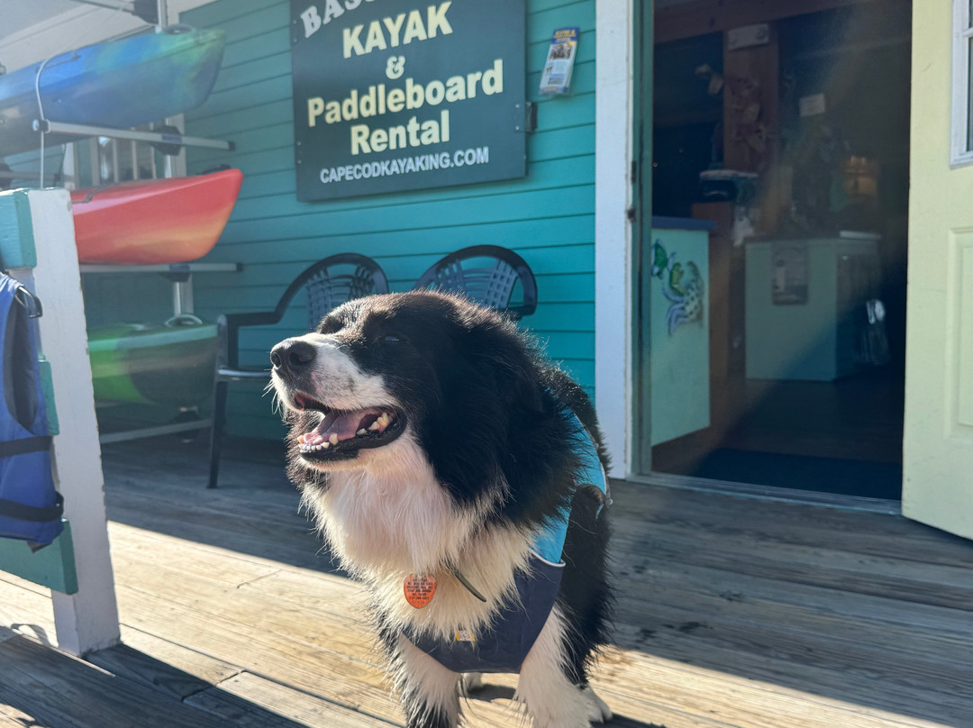 Bass River Kayaks and Paddle Boards-West Dennis必去景点