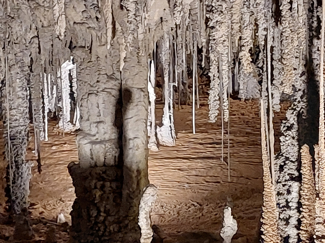 Mole Creek Caves-茉莉溪必去景点