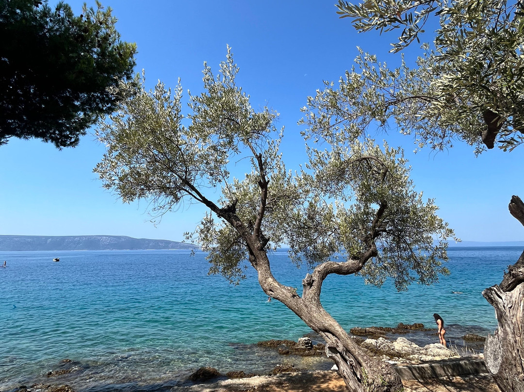 Beach Kovačine (Plaža Kovačine)-Cres必去景点