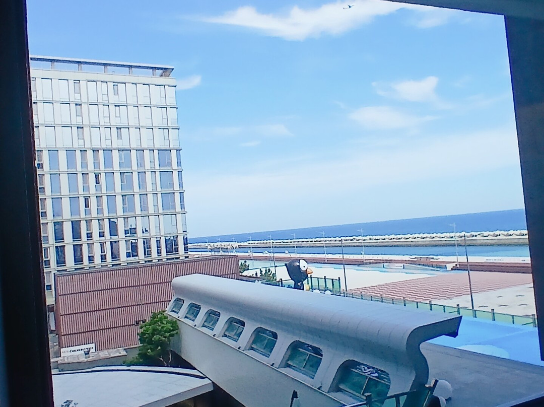 口哨云雀酒店济州