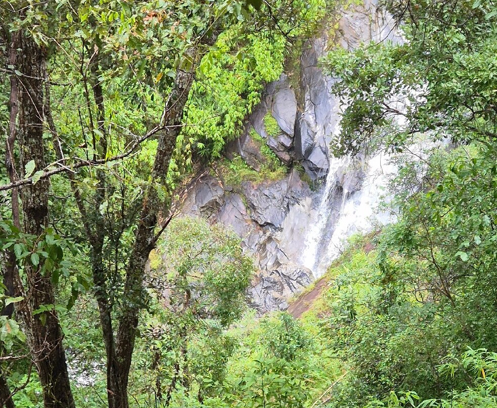 Elephant Freedom Village-清迈必去景点