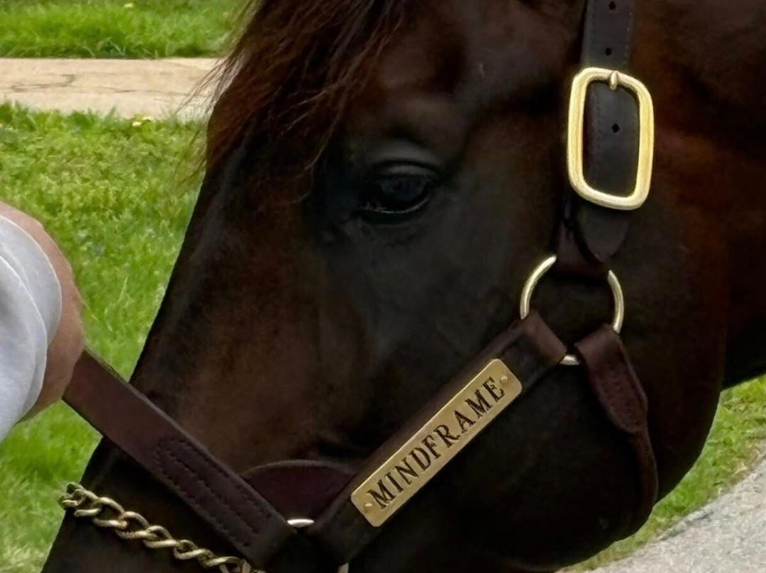 Claiborne Farm-Paris必去景点