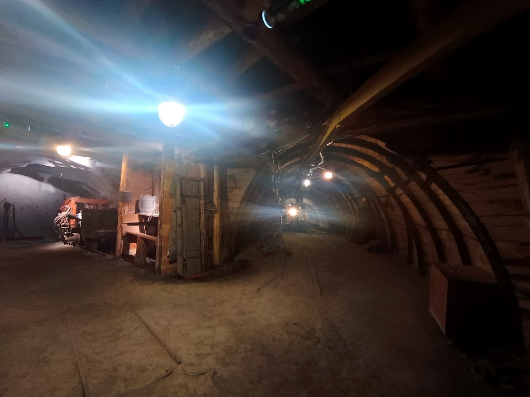 Musée-mine départemental-Cagnac-les-Mines必去景点