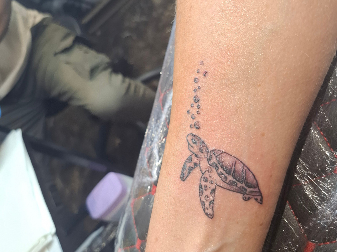 Cleopatra Ink Cape Verde-圣塔玛丽亚必去景点