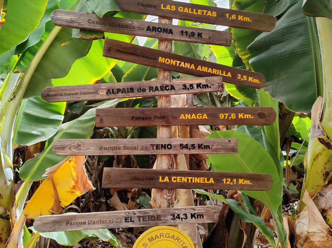 Finca Las Margaritas Banana Experience-拉斯加勒塔斯必去景点