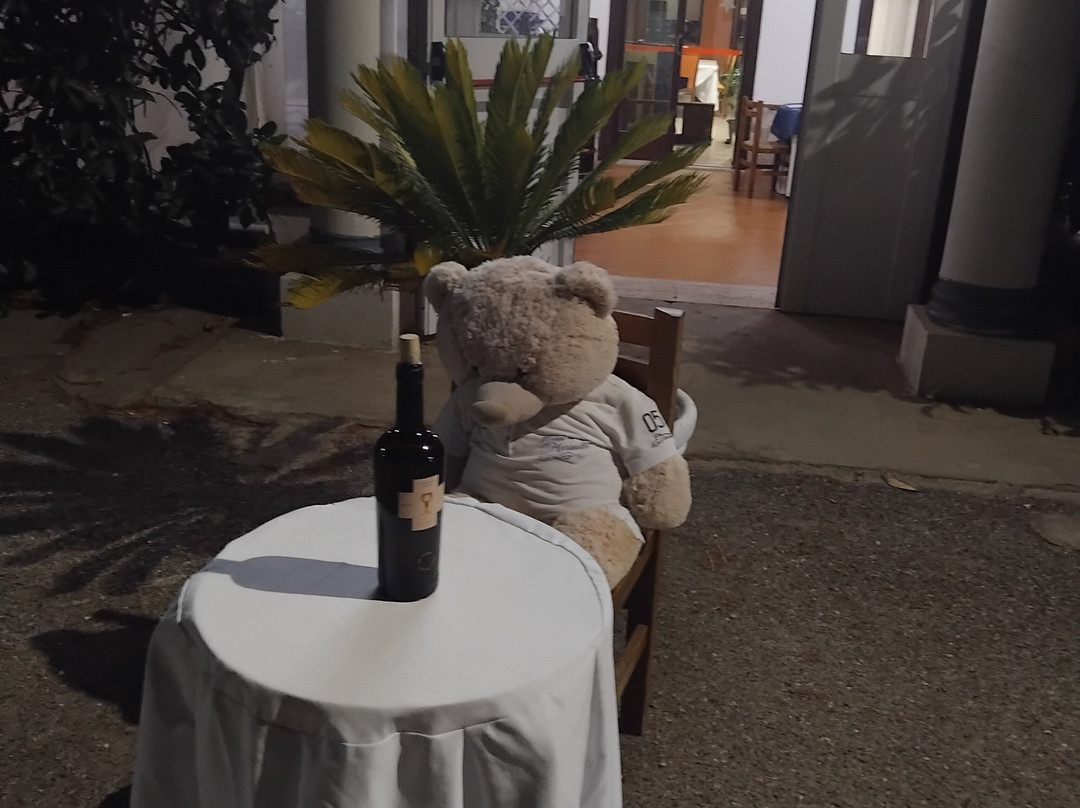 马里内拉酒店主图