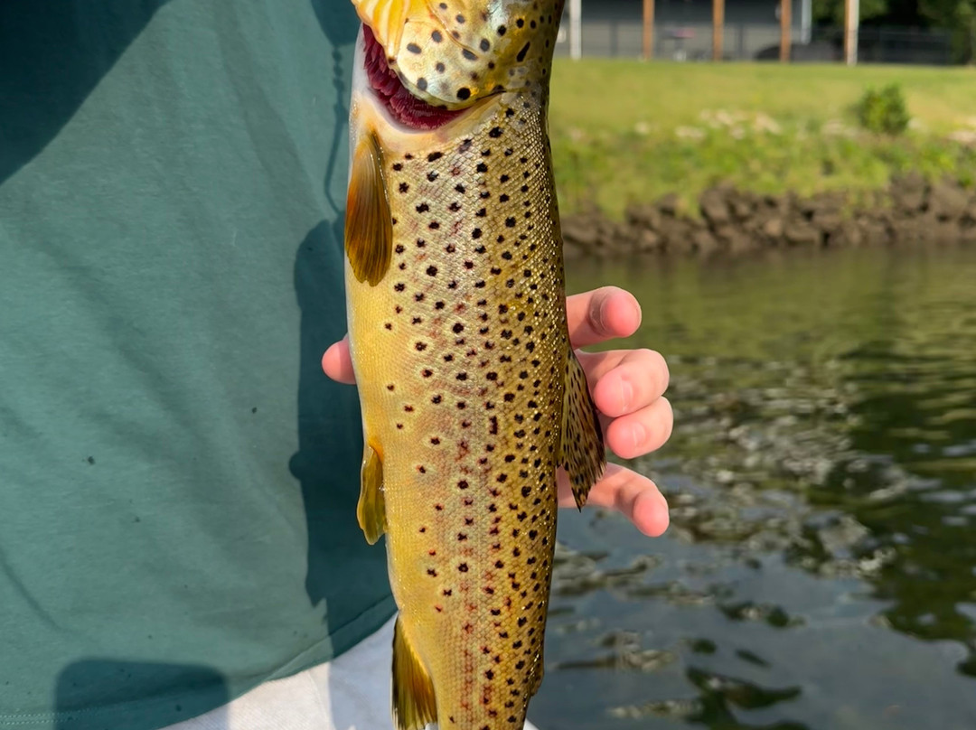 Cotter Trout Dock Guided Trout Fishing Tours-Cotter必去景点