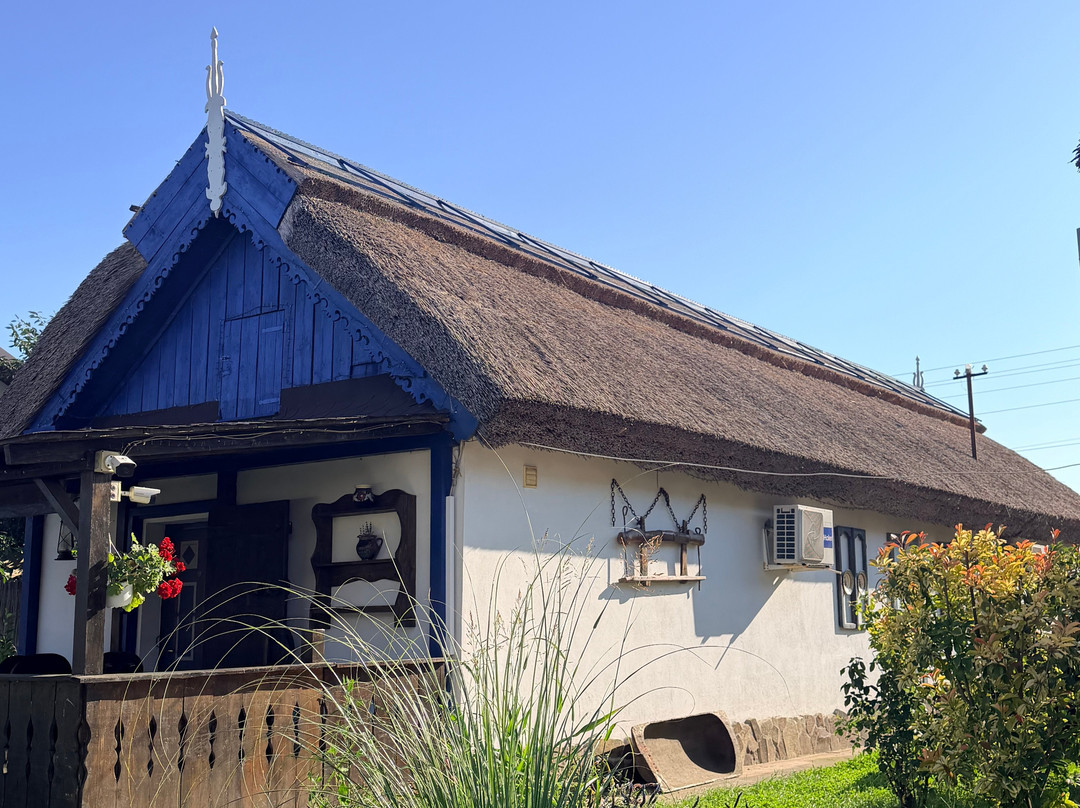 Casa Soarelui主图