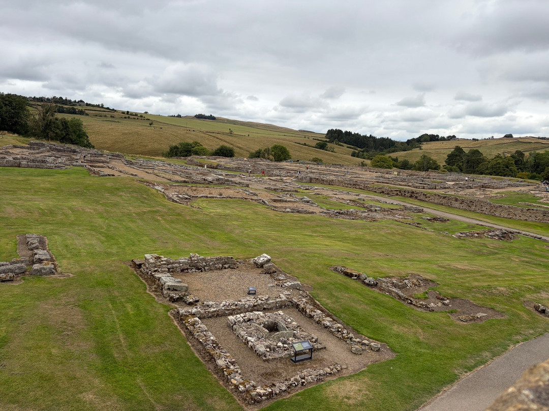 Vindolanda-赫克瑟姆必去景点