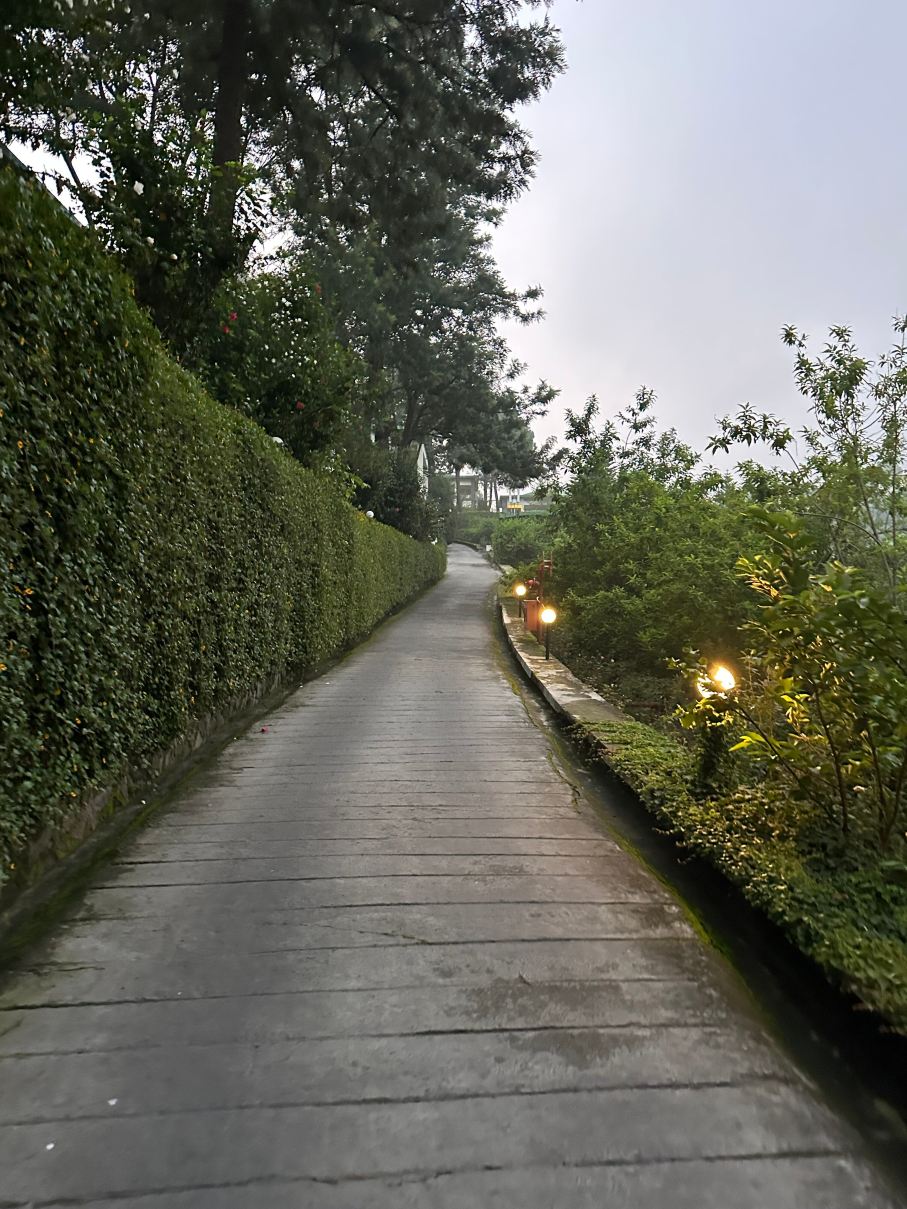 苏李亚乌伊拉斯豪华水疗度假村-旅行者