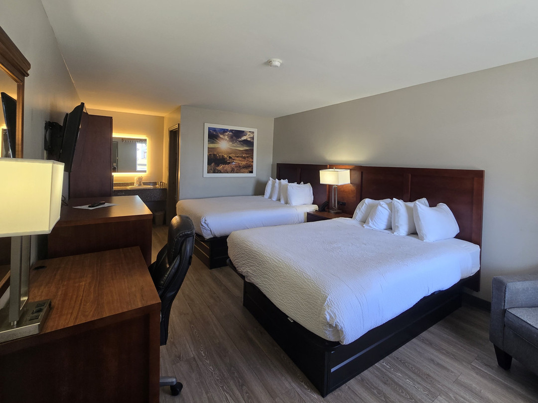 Brunson酒店住宿-Days Inn by Wyndham Hampton