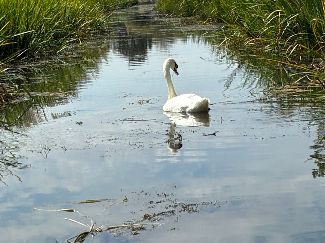 Grantham Canal Three Shires Boat Trips-Woolsthorpe by Belvoir必去景点