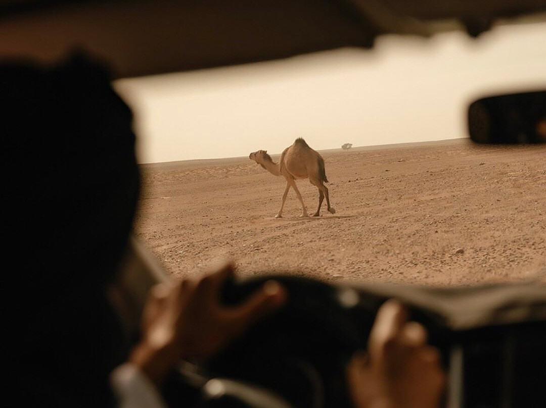 Excursion desert chegagag-Foum Zguid必去景点