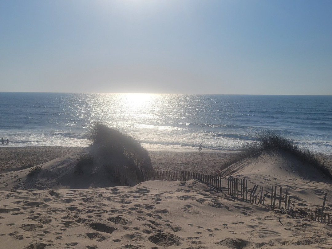 Praia da Vagueira-Vagos必去景点