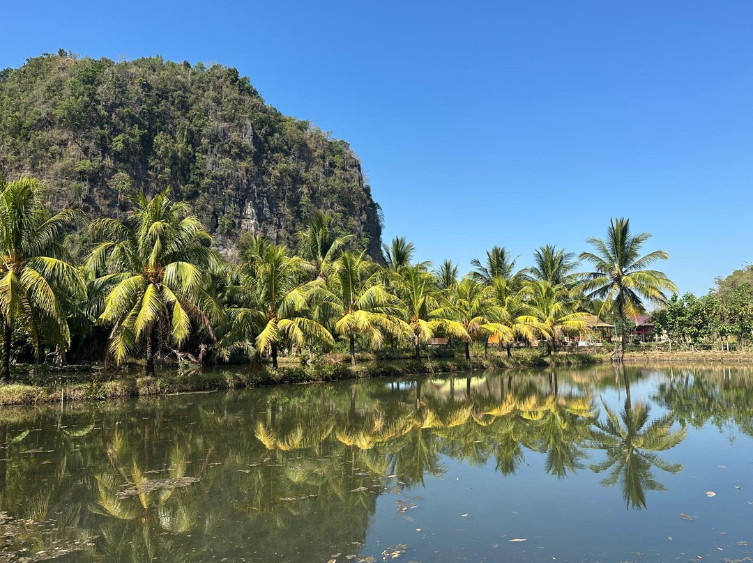 Local Guides - Tana Toraja-Tana Toraja必去景点