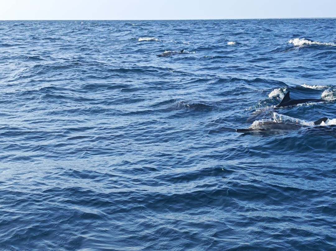 Trinco Blue Water Sports-Trincomalee必去景点