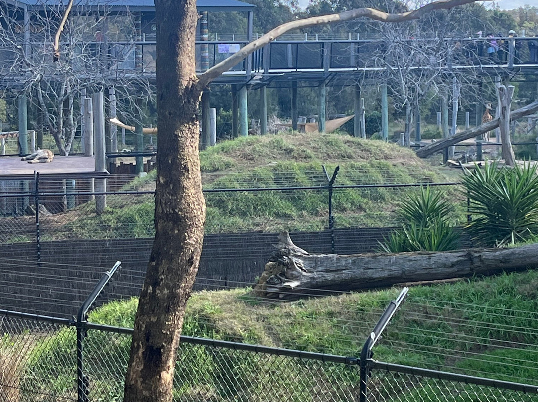 Sydney Zoo-布莱克敦必去景点