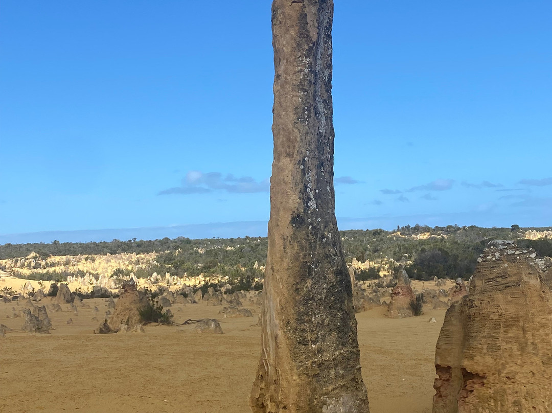 The Pinnacles Desert-Nambung必去景点