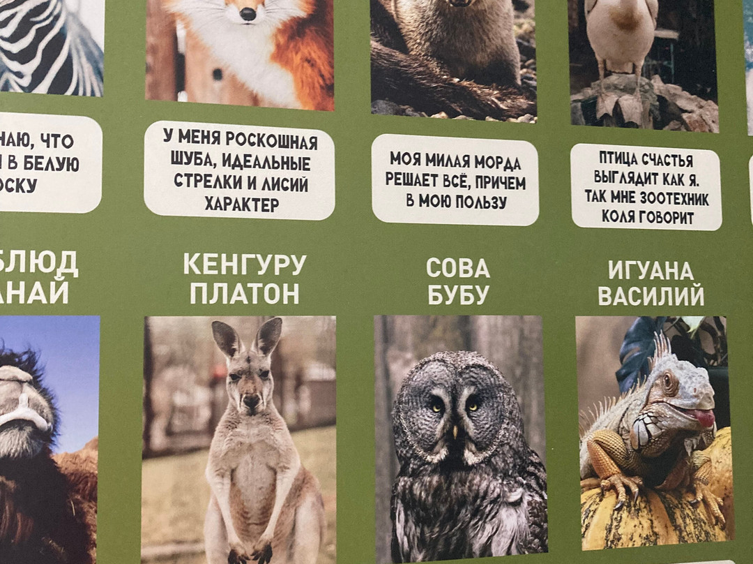 Chelyabinsk Zoo-车里雅宾斯克必去景点
