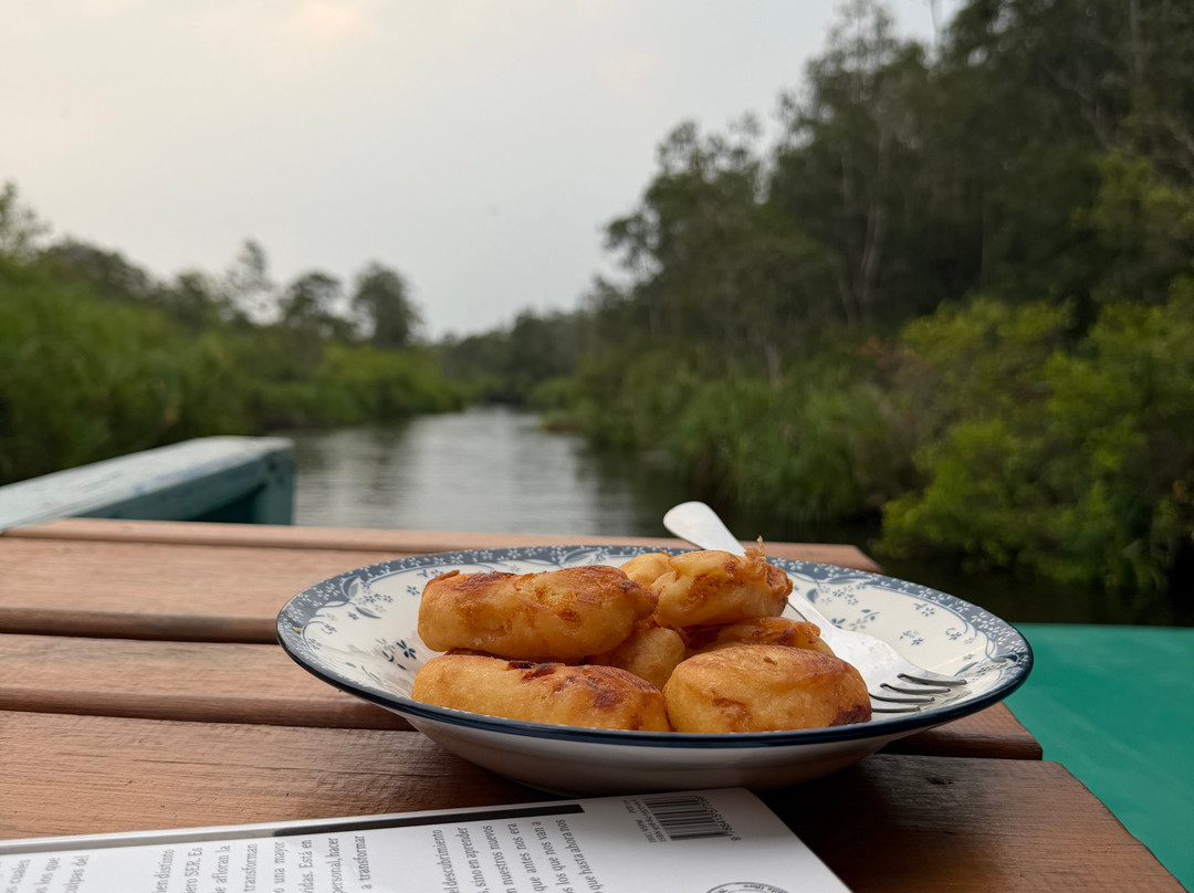 Toris Orangutan Tour-Kumai必去景点