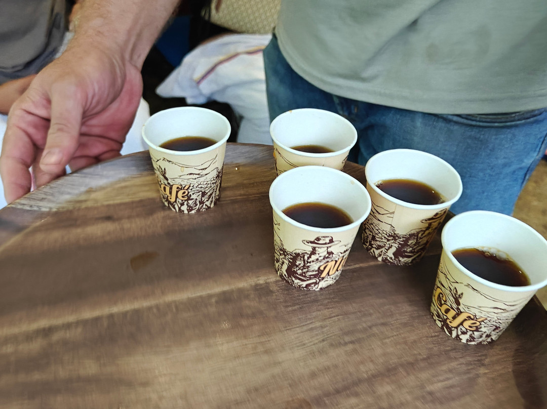 Finca Cafetera La Leona-麦德林必去景点