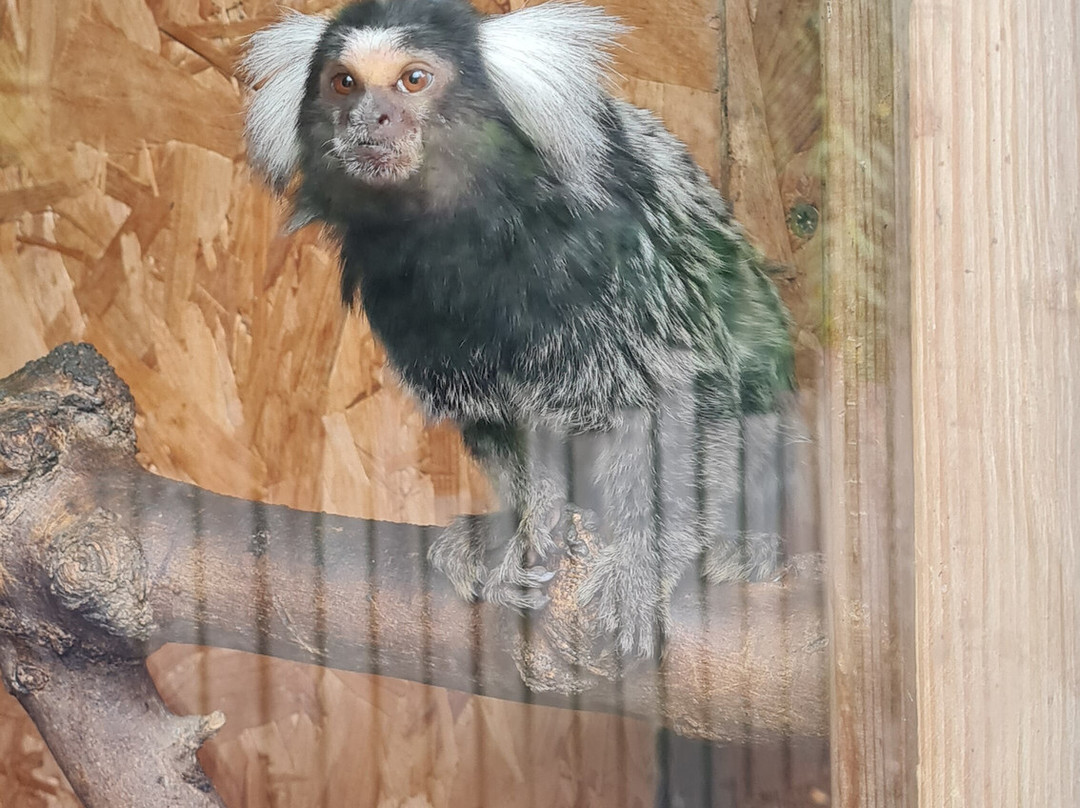 Ponderosa Zoo-Heckmondwike必去景点