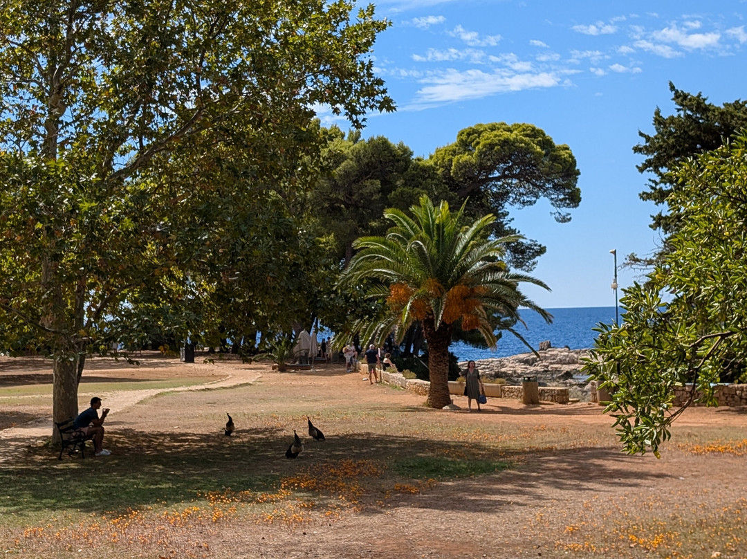 Lokrum Island-杜布罗夫尼克必去景点