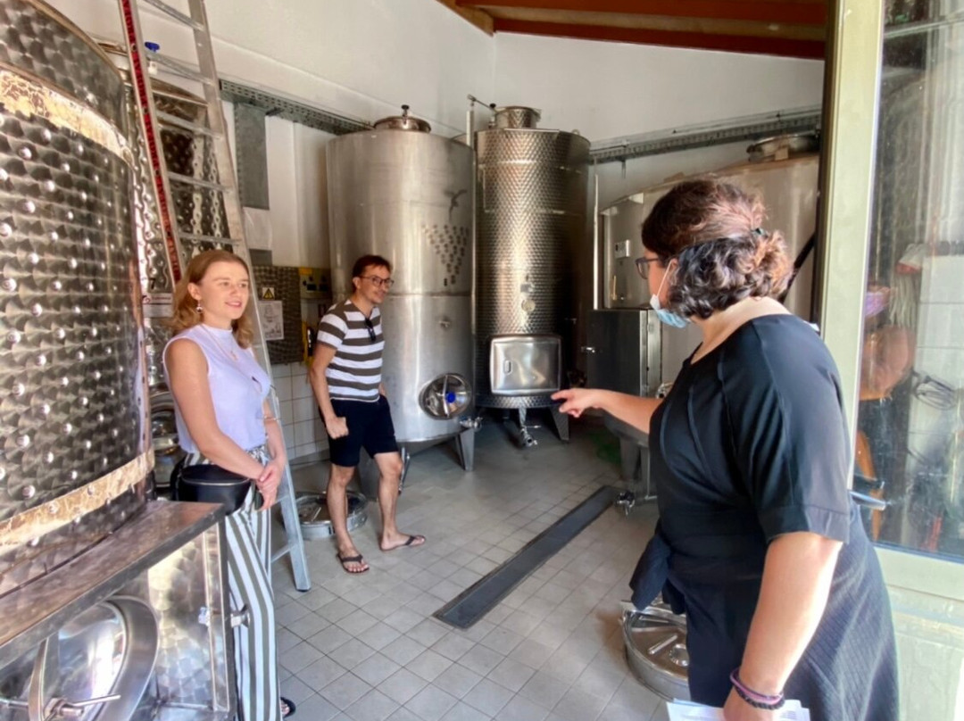 Douloufakis Winery-伊拉克利翁必去景点