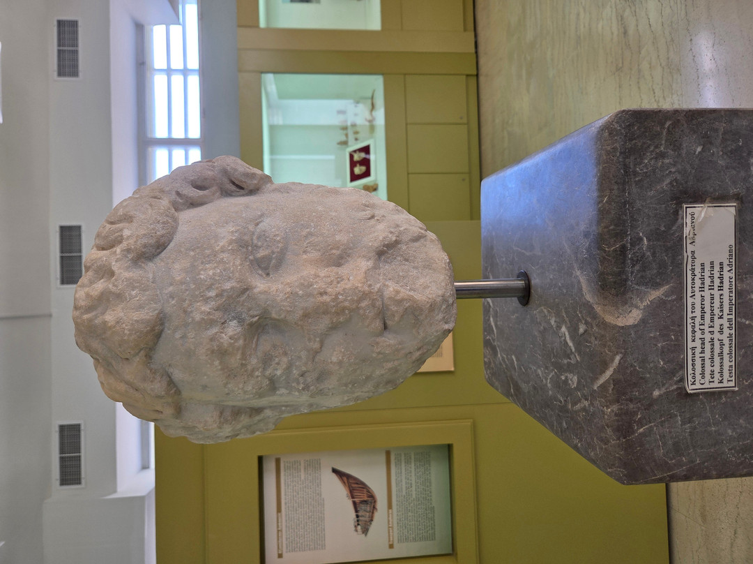 Archaeological Museum of Sitia-Sitia必去景点