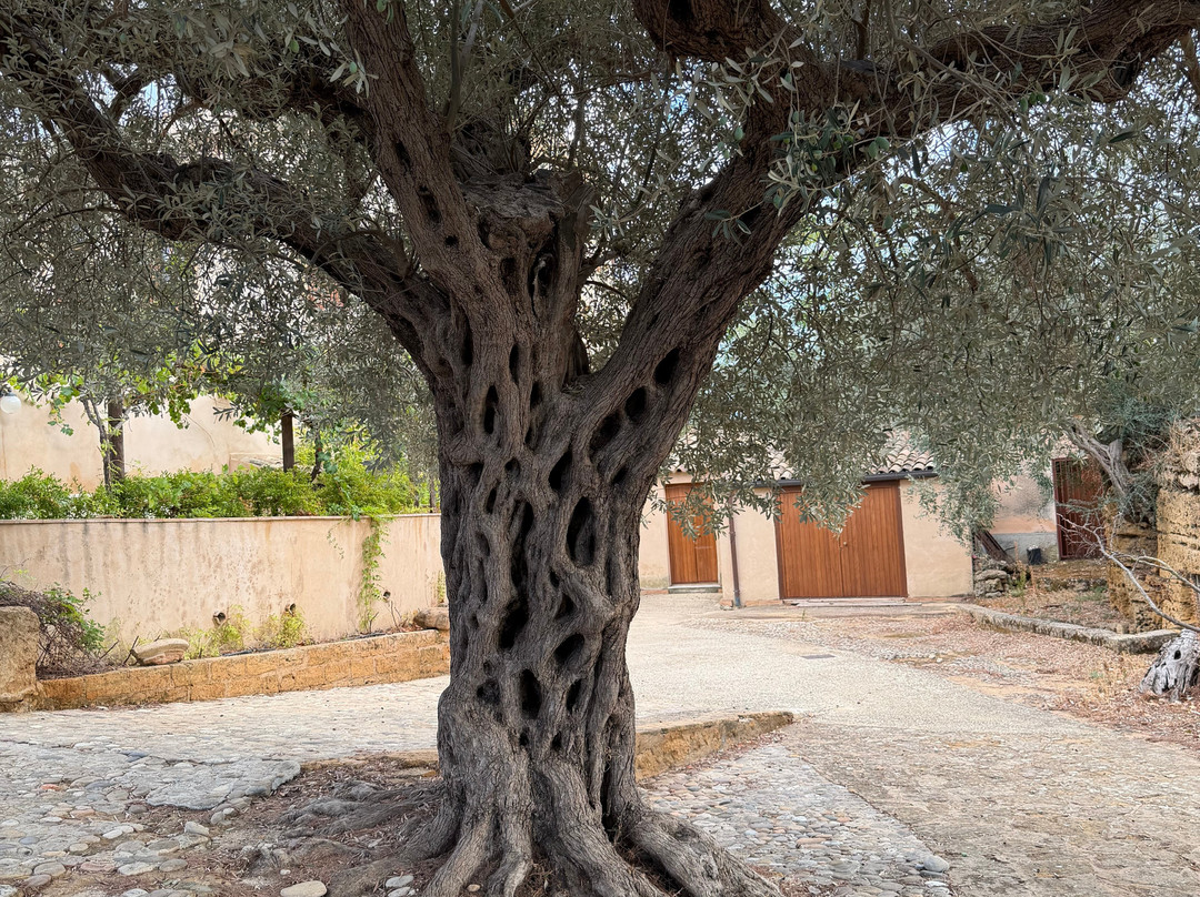 Guide Turistiche Agrigento-阿格里真托必去景点