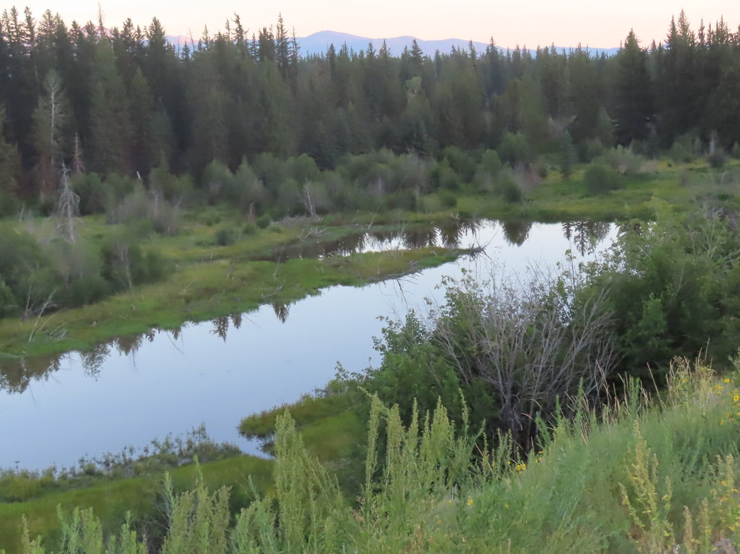 Schwabacher Landing-大提顿国家公园必去景点