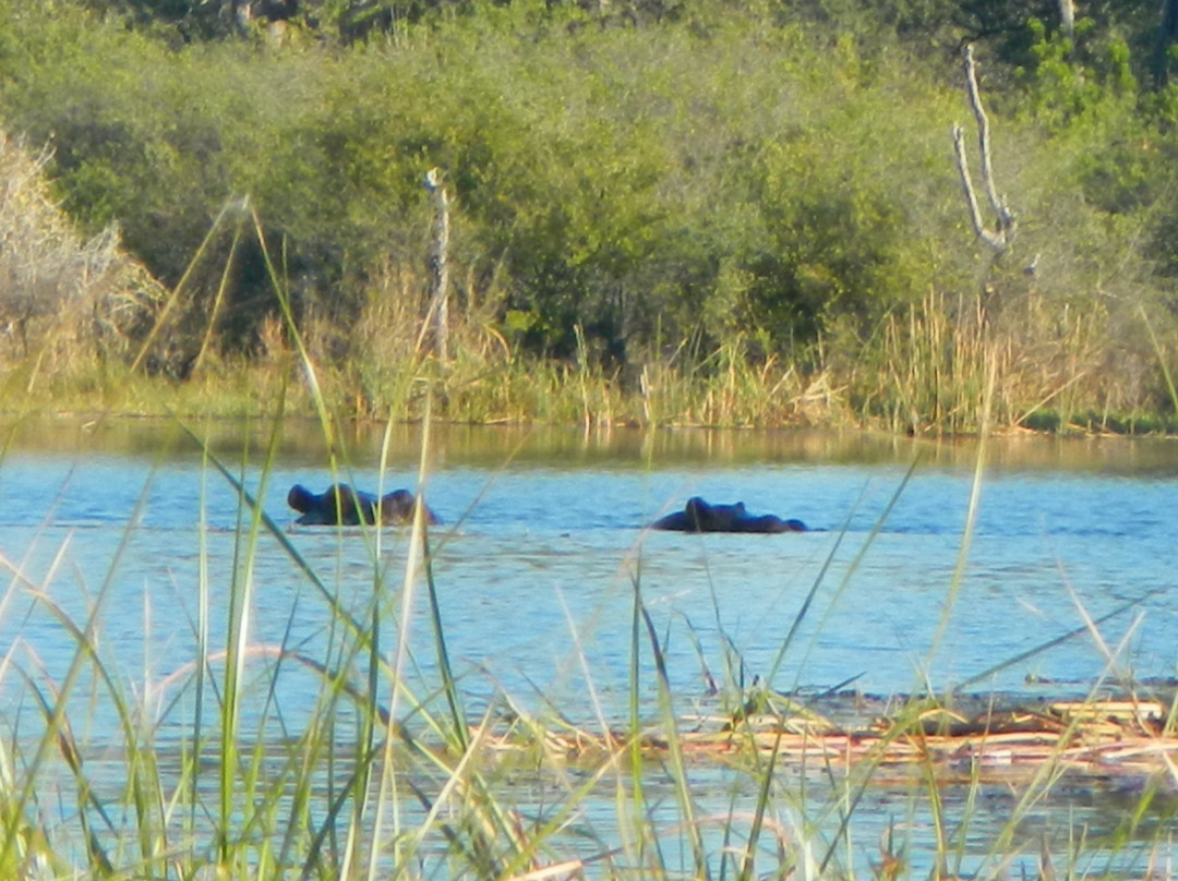 Okavango River-马翁必去景点