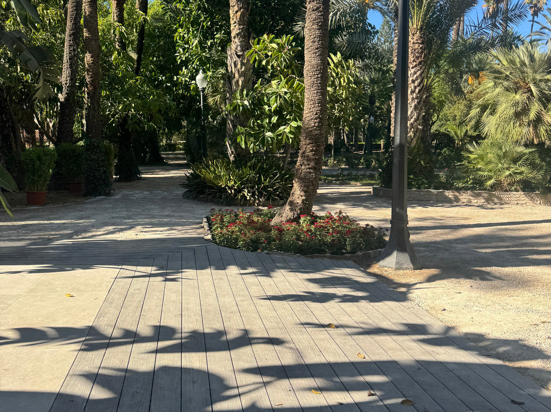 Palmeral of Elche-埃尔切必去景点