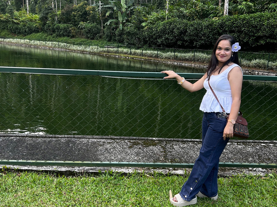 Amaana Plantation Resort主图