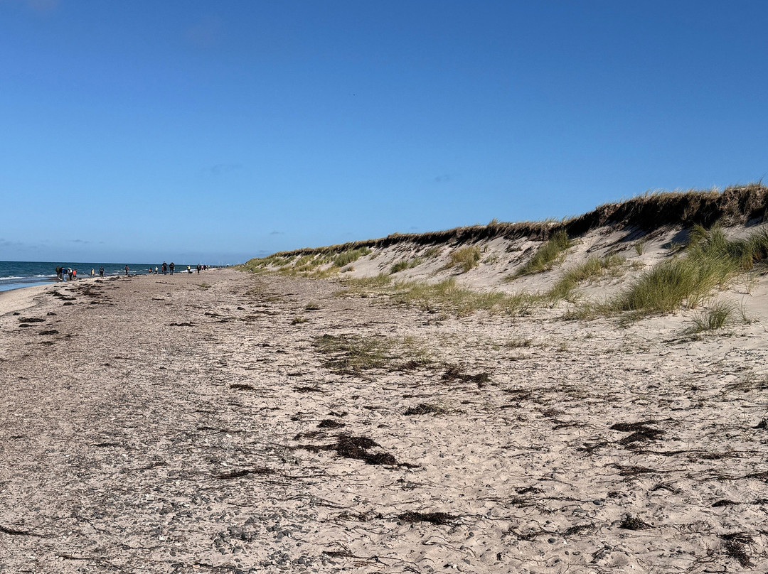 Weststrand-Born auf dem Darss必去景点