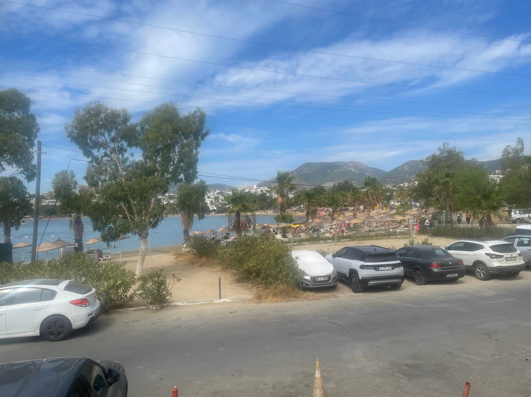 热带海滩酒店主图