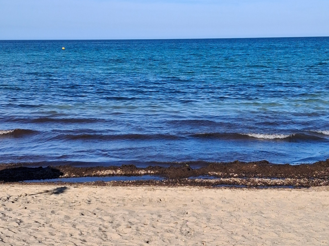 Playa de Ca'n Picafort-Ca'n Picafort必去景点