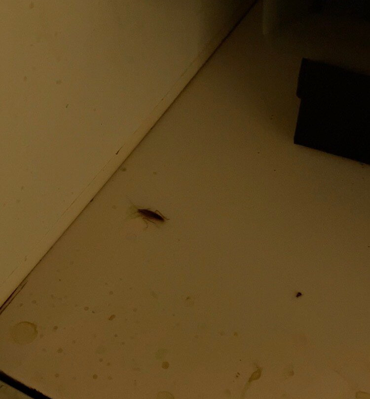 丽拉欧Alua酒店主图