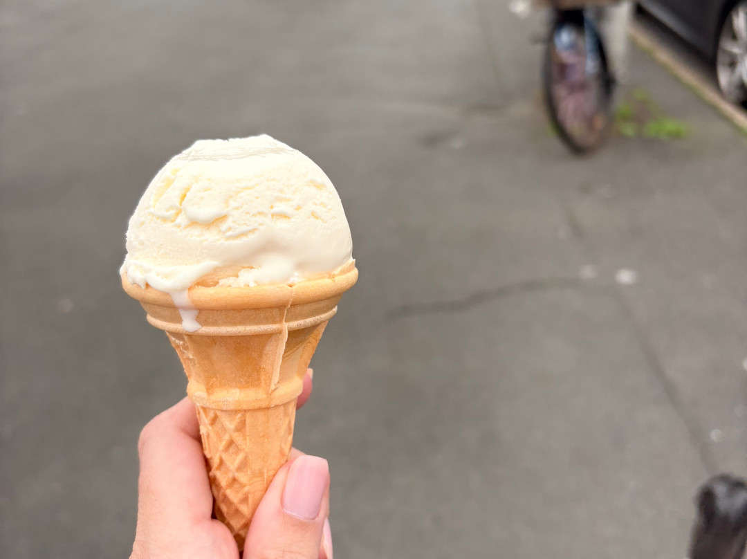 Hockings Dairy Cream Ices-Appledore必去景点