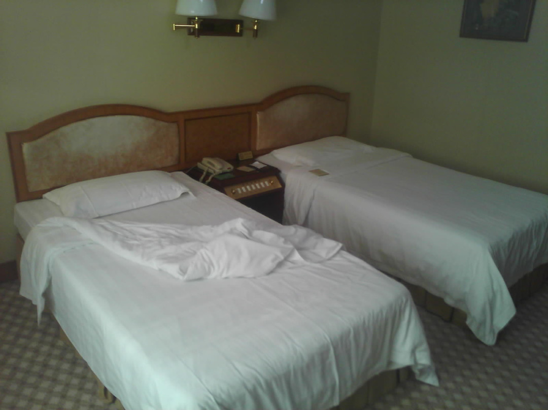 滕州市酒店住宿-新苑大酒店